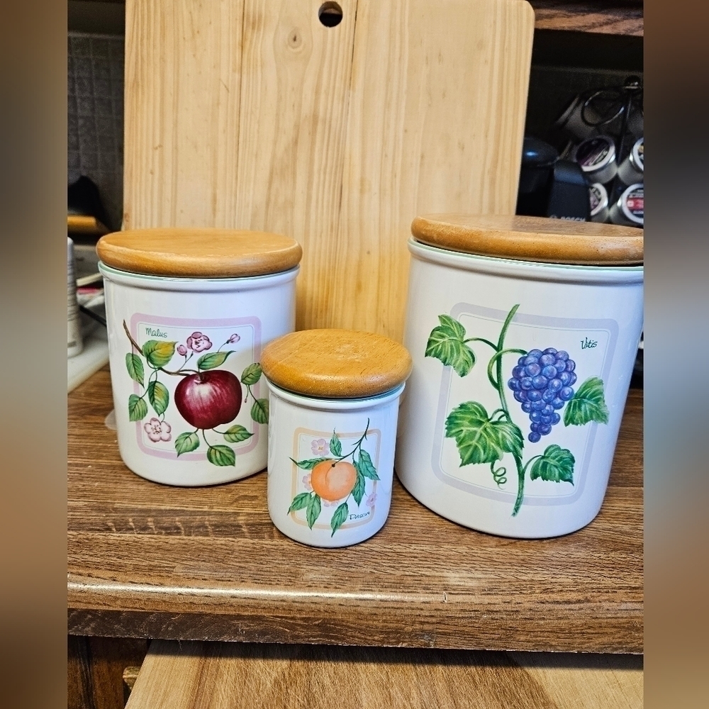 Vintage 70s Set of 3 Himark Ceramic Glazed Botanical Storage Canisters